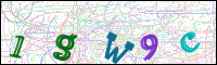 Image Verification