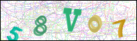 Image Verification