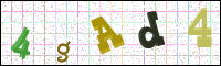 Image Verification
