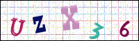 Image Verification