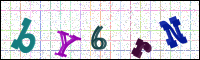 Image Verification