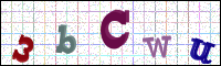 Image Verification