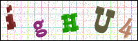 Image Verification