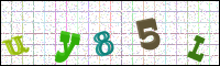 Image Verification