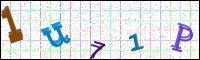 Image Verification