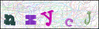 Image Verification