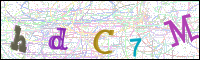 Image Verification