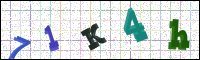 Image Verification