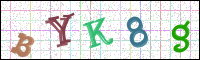 Image Verification