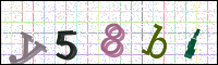 Image Verification