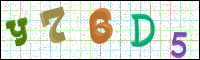 Image Verification