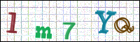 Image Verification