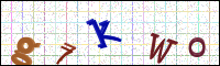 Image Verification