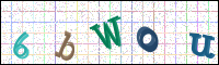 Image Verification