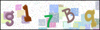 Image Verification