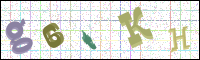 Image Verification