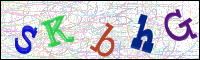 Image Verification