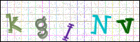 Image Verification