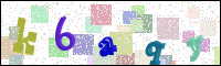 Image Verification