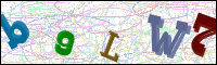 Image Verification