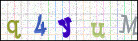 Image Verification