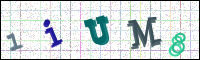 Image Verification