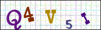 Image Verification