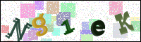 Image Verification