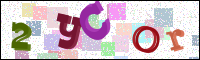 Image Verification