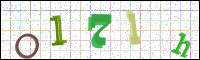 Image Verification