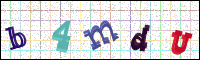 Image Verification