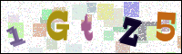 Image Verification