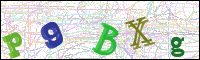 Image Verification