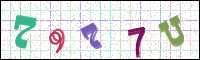 Image Verification