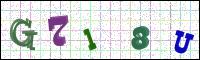 Image Verification