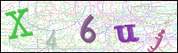Image Verification