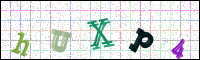 Image Verification