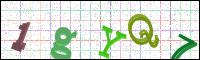 Image Verification