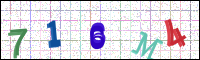 Image Verification