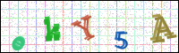 Image Verification