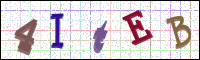 Image Verification