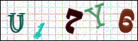 Image Verification