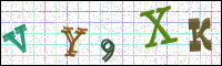 Image Verification