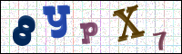 Image Verification
