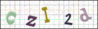 Image Verification