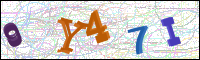 Image Verification