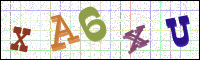 Image Verification