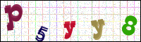 Image Verification