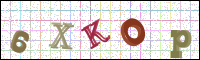 Image Verification