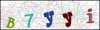 Image Verification